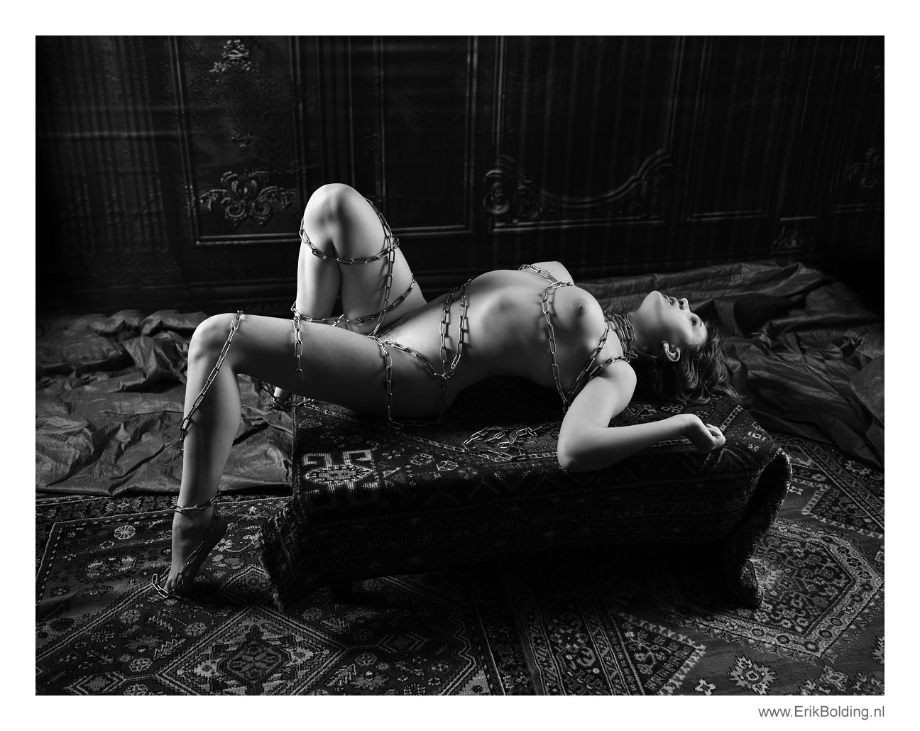 de beste art-nude fotograaf in Drenthe