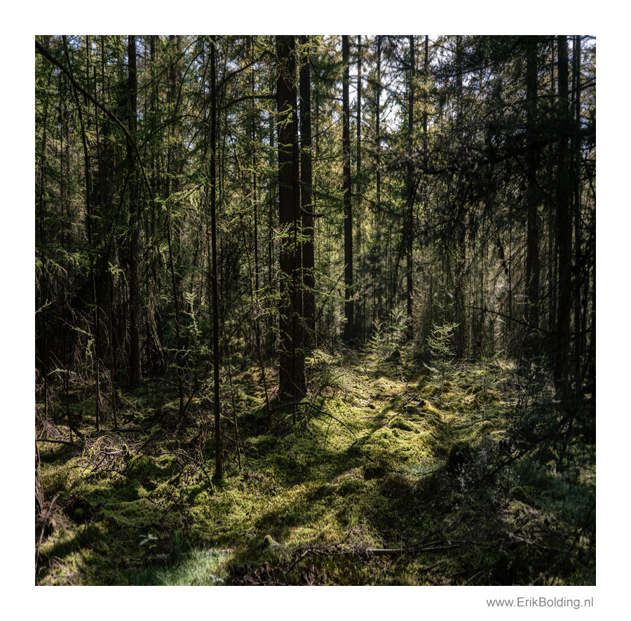 Reisfotografie Erik Bolding